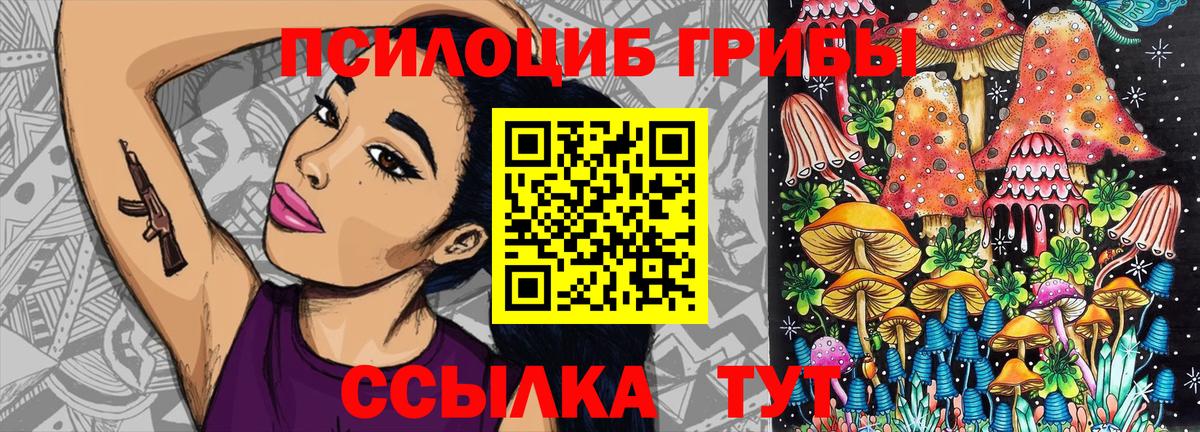 Гатчина  Галлюциногенные грибы Psilocybine cubensis  Вход с VPN 