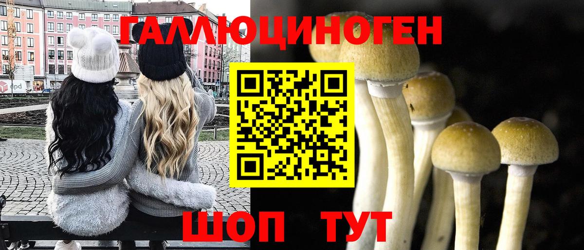 Псилоцибиновые грибы мухоморы Гатчина
